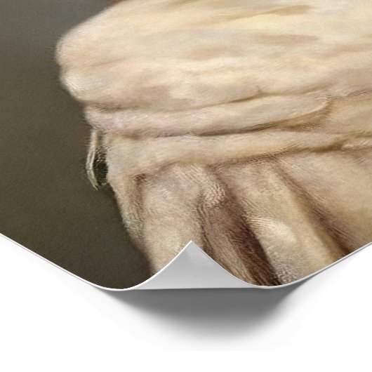 Royal Chicken  Print, renaissancedier Poster (Hoek)