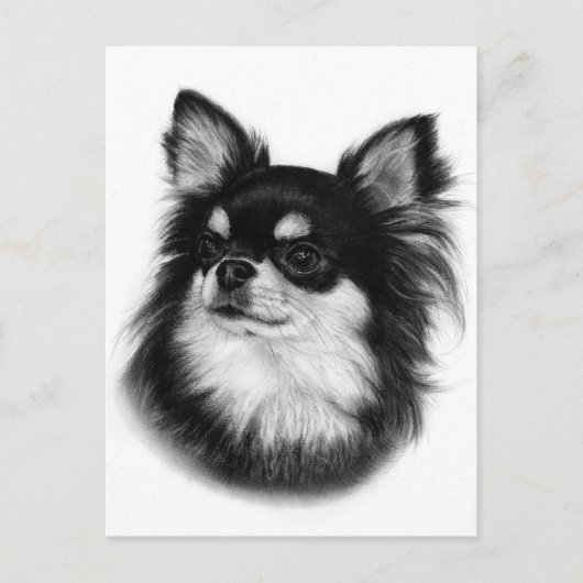 Royal Chihuahua Look - Handgeschilderd Briefkaart (Voorkant)