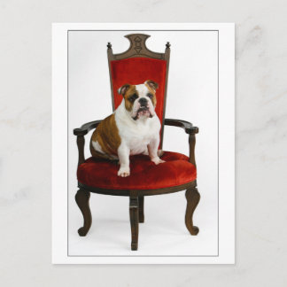 Royal English Bulldog Briefkaart
