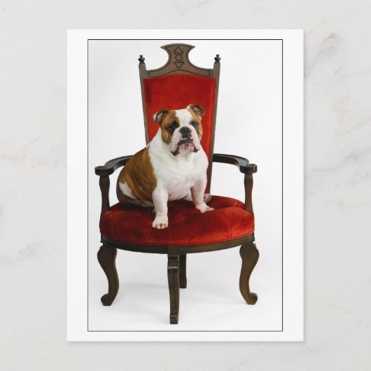 Royal English Bulldog Briefkaart (Voorkant)