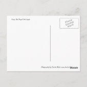 Royal Gala Apple Briefkaart (Achterkant)