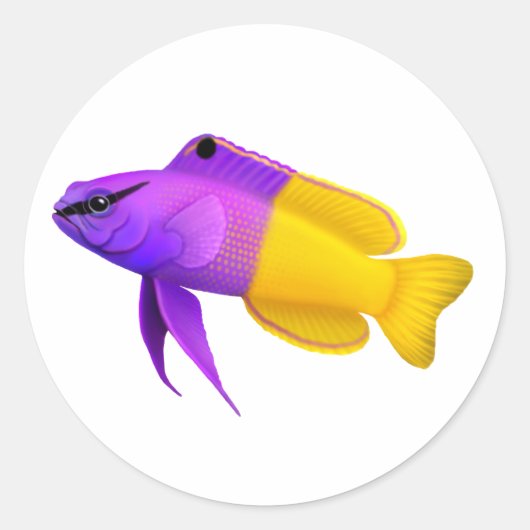  Royal Gramma Reef Fish Sticker (Voorkant)