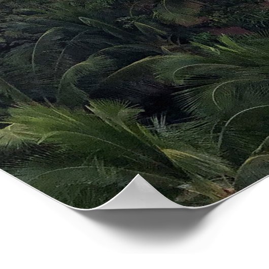 Royal Hawaiian Hotel Poster (Hoek)