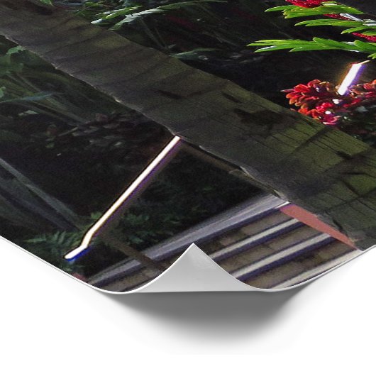 Royal Hawaiian Hotel Poster (Hoek)