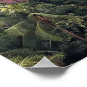 Royal Hawaiian Hotel Poster (Hoek)