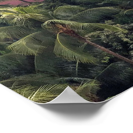 Royal Hawaiian Hotel Poster (Hoek)