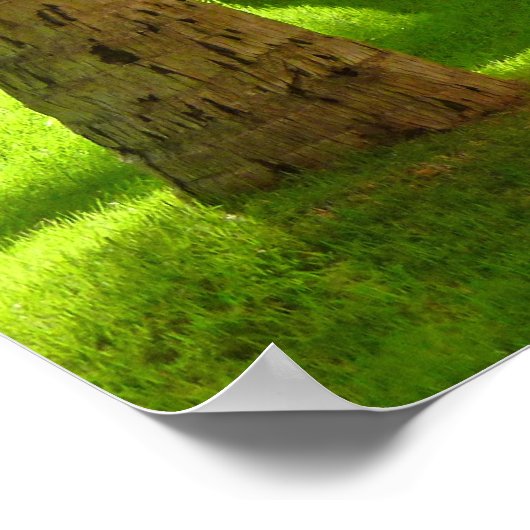 Royal Hawaiian Hotel Poster (Hoek)