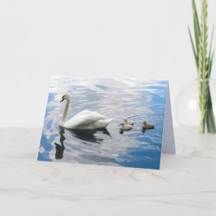 Royal Mute Swan en Cygnet Gevouwen Wenskaart Kaart