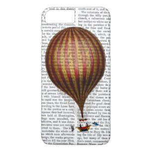 Royal Nassau-ballon Hot Air Ballon iPhone 8/7 Plus Hoesje