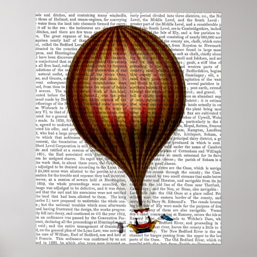 Royal Nassau-ballon Hot Air Ballon Poster (Voorkant)
