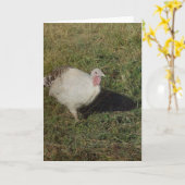 Royal Palm Turkey Kaart (Gele Bloem)