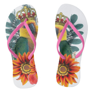 Royal Parrots Love Teenslippers