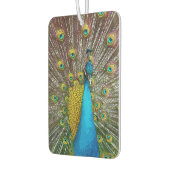 Royal Peacock met Blauwgroen Goud en Blauw Plumage Luchtverfrisser (Links)