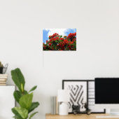 Royal Poinciana Flowering Tree Print (Thuiskantoor)