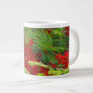Royal Poinciana Grote Koffiekop