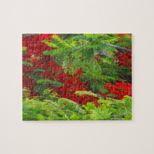 Royal Poinciana Legpuzzel (Horizontaal)