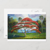 Royal Poinciana Tree Mazz Briefkaart (Voorkant / Achterkant)