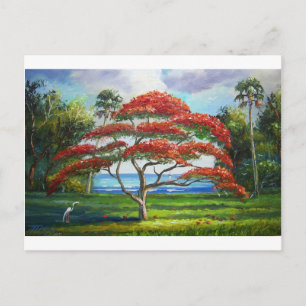 Royal Poinciana Tree Mazz Briefkaart