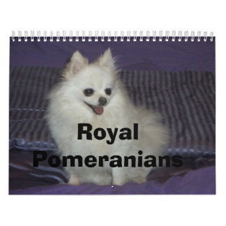 Royal Pomeranians Kalender