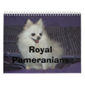Royal Pomeranians Kalender (Hoes)