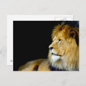 Royal Portret Briefkaart (Voorkant / Achterkant)