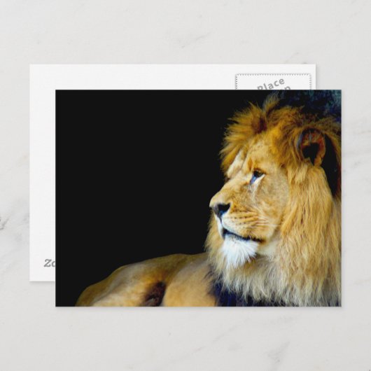 Royal Portret Briefkaart (Voorkant / Achterkant)