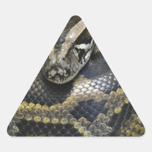 "Royal Python" Sticker