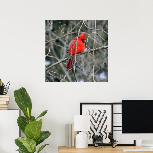 Royal Red Cardinaal 24x24 Poster (Thuiskantoor)
