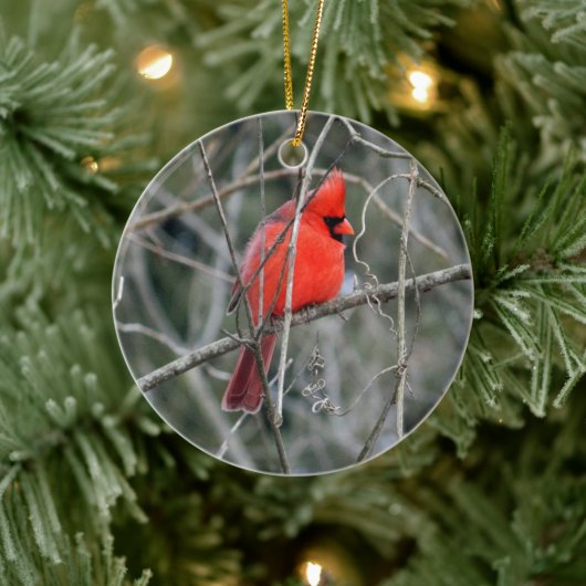 Royal Red Cardinaal Ceramic Ornament (Boom)