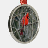 Royal Red Cardinaal Premium Ornament (Rechts)