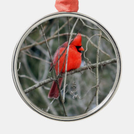 Royal Red Cardinaal Premium Ornament