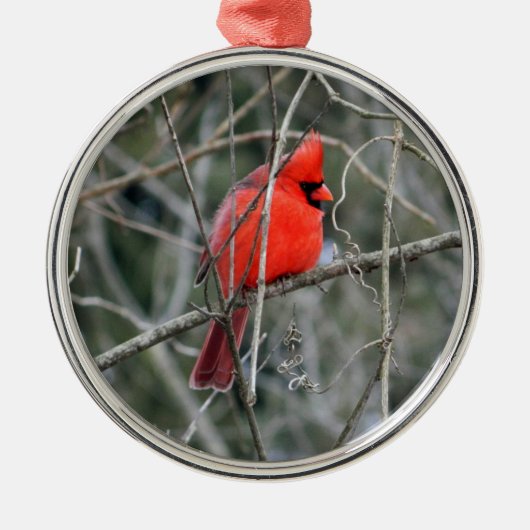 Royal Red Cardinaal Premium Ornament (Voorkant)