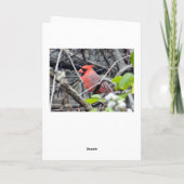 Royal Red Cardinal Wenskaart Kaart (Achterkant)