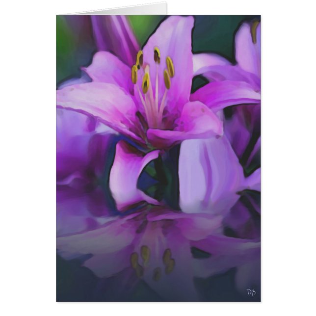 Royal Reflections (Voorkant)