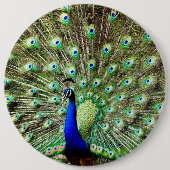 Royal Regency Peacock Ronde Button 6,0 Cm (Voorkant)