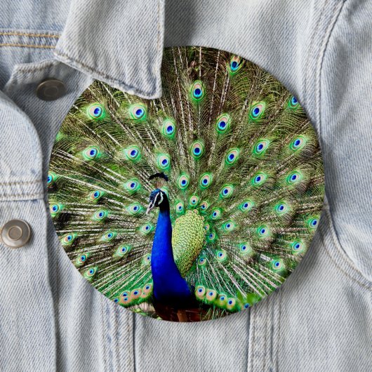 Royal Regency Peacock Ronde Button 6,0 Cm (In situ)