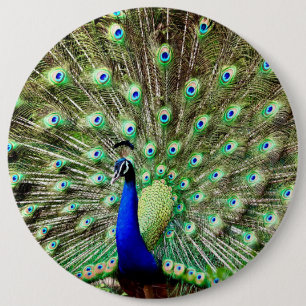 Royal Regency Peacock Ronde Button 6,0 Cm