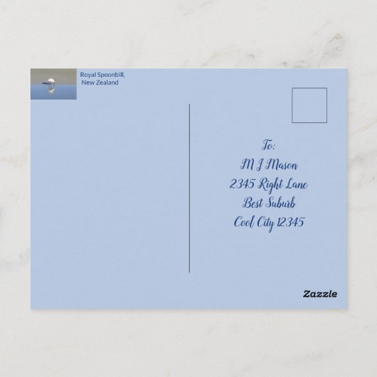 Royal Spoonbill Bird Custom Briefkaart (Achterkant)