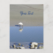 Royal Spoonbill Bird Custom Briefkaart (Voorkant)