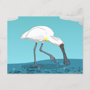 Royal Spoonbill NZ vogel Briefkaart