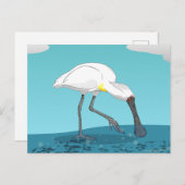 Royal Spoonbill NZ vogel Briefkaart (Voorkant / Achterkant)