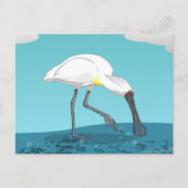 Royal Spoonbill NZ vogel Briefkaart (Voorkant)