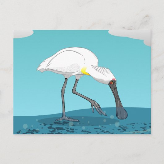 Royal Spoonbill NZ vogel Briefkaart (Voorkant)