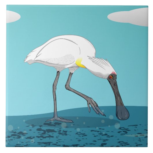 Royal Spoonbill NZ vogel Tegeltje (Voorkant)