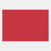 Royal Stewart Clan Scottish Tartan Inpakpapier Vel (Voorkant 2)