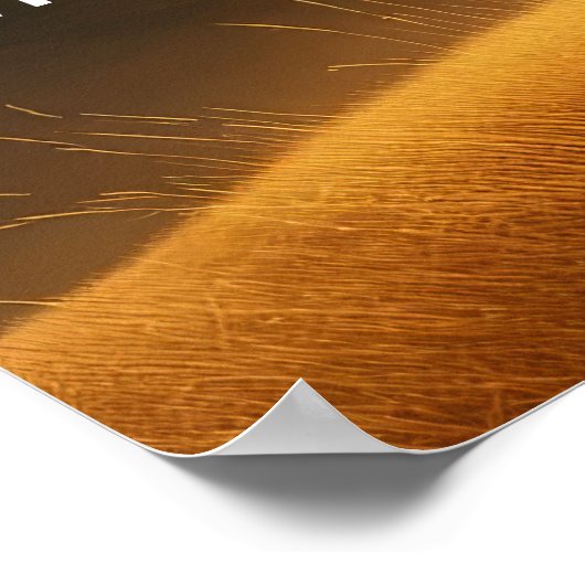 Royal Sunset: De majestueuze leeuw Poster (Hoek)