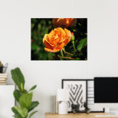 Royal Sunset Hybrid Tea Roos 016 Poster (Thuiskantoor)