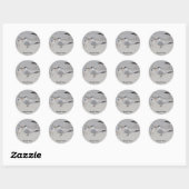 Royal Tern Baby Begging Stickers (Vel)