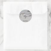 Royal Tern Baby Begging Stickers (Tas)