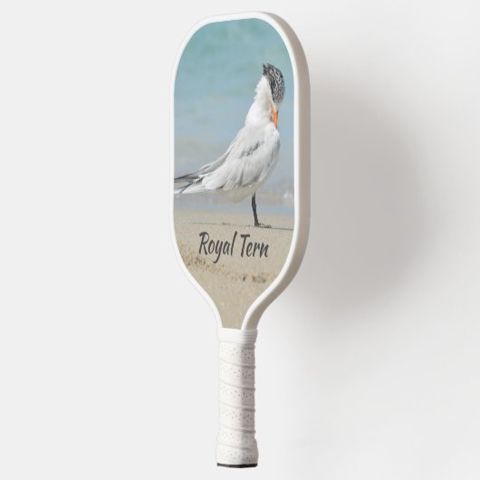 Royal Tern Bow naar Royalty Fun Coastal Pickleball Paddle (Links)